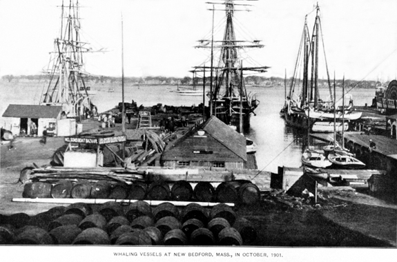 Whaling Ships Docked at new Bedford, Ma. in 1901 - www.WhalingCity.net